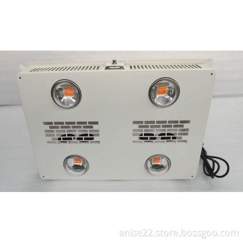 600W COB LED Grow Light, Full Spectrum 380-840nm, Bridgelux Chip